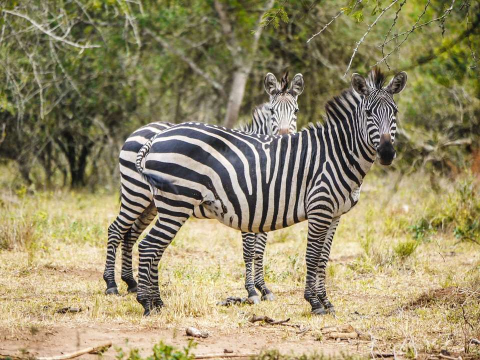 Things to do in Mbarara