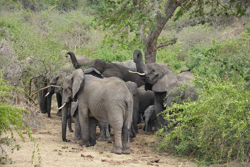 Ecosphere Safaris Destinations