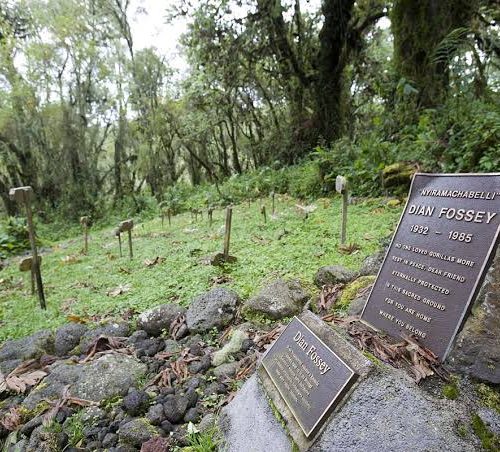 Dian Fossey Legacy Hike