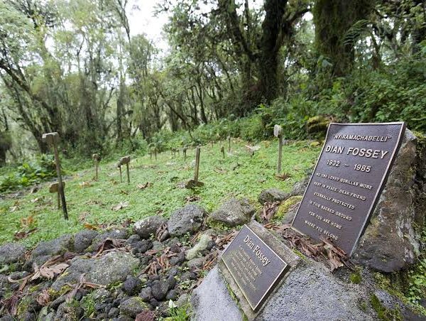 Dian Fossey Legacy Hike