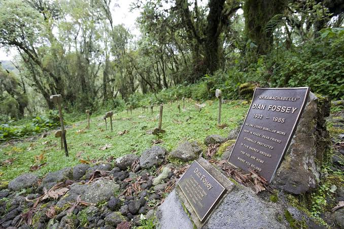 Dian Fossey Legacy Hike