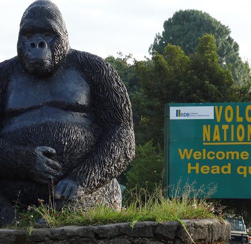 2 Days Rwanda Gorilla Safari