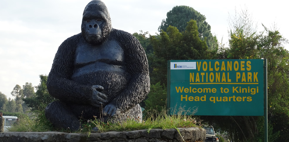 2 Days Rwanda Gorilla Safari
